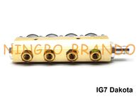 Ray Tipi IG7 Dakota Navajo Enjektör Raylı 2 Ohm LPG CNG Için 4 Silindir Alüminyum Gövde