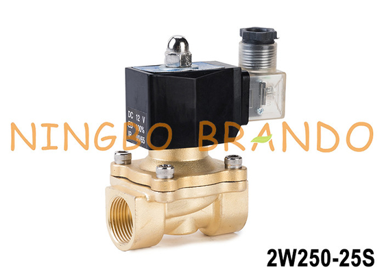 2W250-25 1'' 2 Way Normalde Kapalı Bakır Su Solenoid Valfi 24V 220V