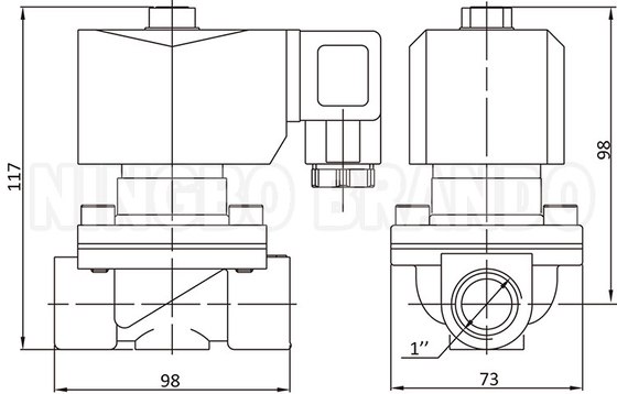 2W250-25 1'' 2 Way Normalde Kapalı Bakır Su Solenoid Valfi 24V 220V