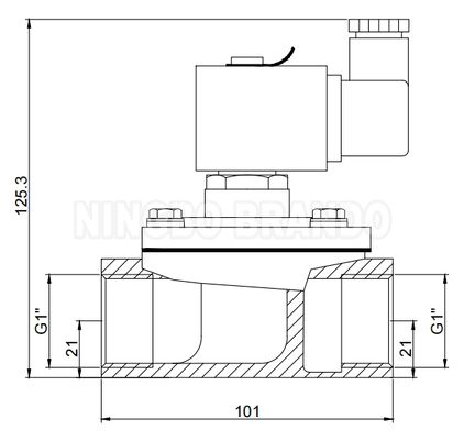 Toz Toplama Makinesi İçin 1'' Düz Geçişli Darbeli Jet Valf 24V 110V 220V