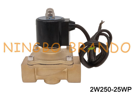 1'' Pirinç Su Geçirmez Fıskiye Solenoid Valfı 24VDC 220VAC