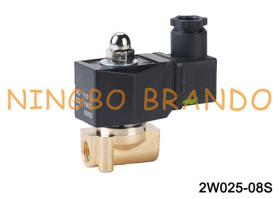 1/4 İnç 2W025-08 Pirinç Elektrikli Solenoid Valf 24V 100V 220V