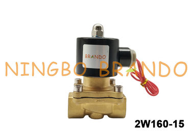 1/2 `` UNI-D Tipi UD-15 2W160-15 Pirinç Solenoid Valf AC220V AC110V DC24V Su Gaz Yağı İçin