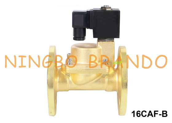 24V 220V Pirinç Solenoid Valf Buhar 1'' 1-1/4'' 1-1 / 2'' 2'' Flanş Ucu