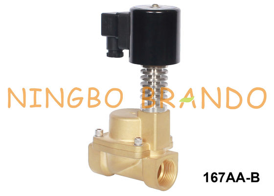 Pirinç Solenoid Valf Sıcak Su 3/8 1/2 İnç 12V 24V DC 110V 220V AC