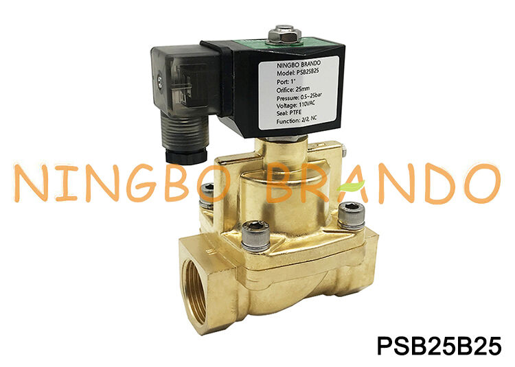 1'' Buhar Solenoid Valfı 2/2 Yollu Normalde Kapalı Pirinç 24V 110V 220V