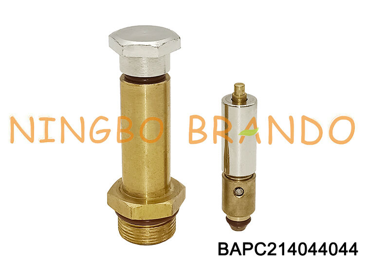 Pirinç Solenoid Valf Armatür 2 Yollu NC Solenoid Piston Borusu ve Demir Çekirdek 14mm OD