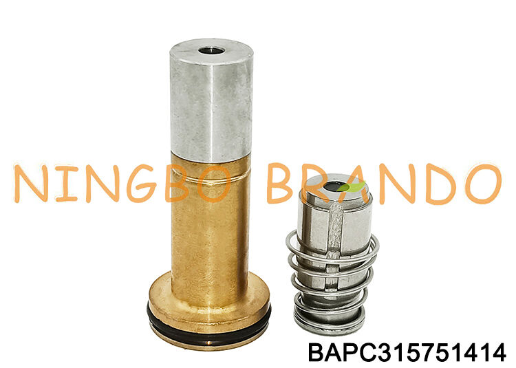 Wabco Tipi Kamyon Solenoid Valve Armature Plunger 4422325221 0025403997 için