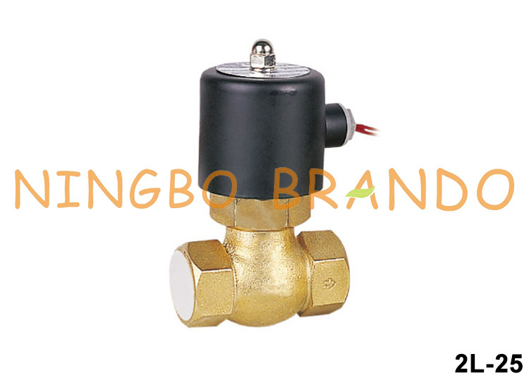 2L-25 US-25 1'' DN25 Pirinç Solenoid Vana 24V 220V