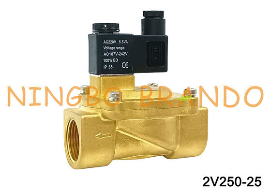 Airtac Tip 2V250-25 2 Yollu Solenoid Valf Hava Valfleri AC220V 110V DC12V 24V