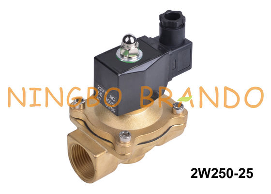 2W250-25 1'' 2 Yollu Normalde Kapalı Su Pirinç Solenoid Valf 24V 220V